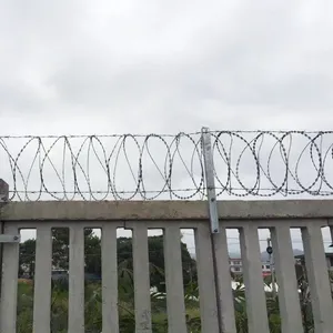 Heavy-Duty Galvanized Concertina Razor Barbed Wire - 450mm Width for Maximum Security thumbnail-5