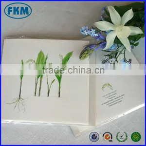 Pretty Greeting Blank Card thumbnail-3