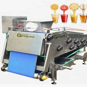 Cold Press Orange Juicer Belt Extractor Machine thumbnail-2