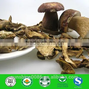 Dried Mushroom thumbnail-1