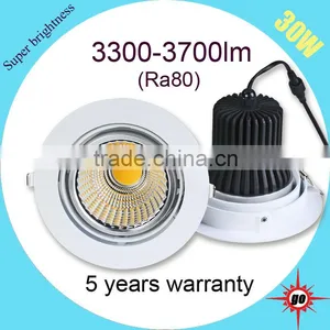 Modern Ceiling Design Led Downlight 4-way Rotatable 30w Cob Led Downlight thumbnail-1