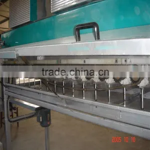 Lemon Fruit Sorting Washing Machine thumbnail-4