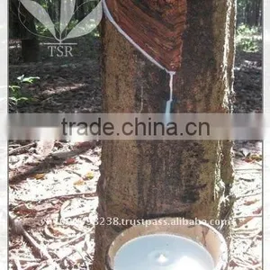 Vietnam Natural Rubber thumbnail-1