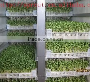 Fodder Sprouting Machine/barley Grass Growing Machine thumbnail-2