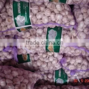 Chinese Normal Garlic thumbnail-1