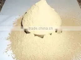 Best Quality of Cassia Tora Gum Powder (CTGP) From Manohar International thumbnail-1