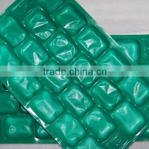 Thermoformed Packaging Fruit Kiwi Tray thumbnail-1