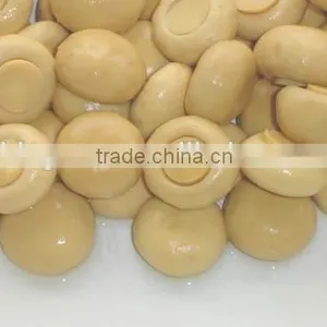 Canned Food Canned Champignon Canned Mushroom/champignon thumbnail-3