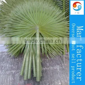 Camouflaged Fan Palm Tree Leaves thumbnail-1