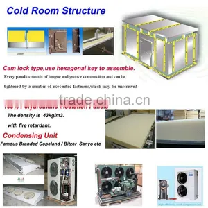 Cold Room Door With Polyurethane Insulation / PU Insulated Door thumbnail-3