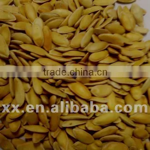 Melon Seed for Planting thumbnail-1