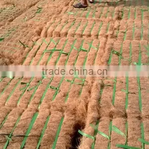 Coconut Fiber High Quality ( QQ: 2598494113) thumbnail-3