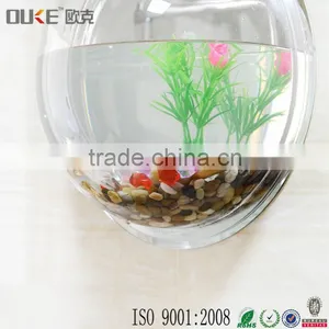 Morden Design Wall Mounted High Transparent Acrylic Fish or Plant Display Wholesale thumbnail-3