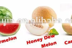 Newest Mould Stainless Steel Watermelon Slicer Cutter Corer as Seen on TV thumbnail-6