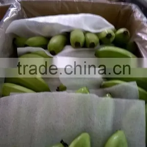 HKVIMEX' S Fresh Cavendish Vietnam Best Quality and Best Price thumbnail-1