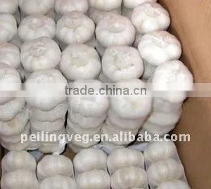 Chinese Pure White Garlic HOT !! thumbnail-1