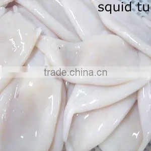 Common Squid Tube Seafood thumbnail-1