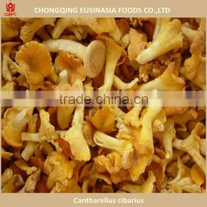 Wild Morel Porcini Truffle Chanterelle Price, Market Price for Mushroom thumbnail-1