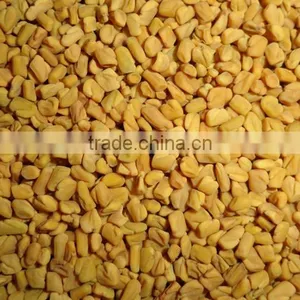 Superior Quality Fenugreek Seed thumbnail-3