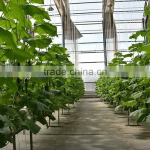 China Rockwool Cubes For Agriculture and Hydroponic System thumbnail-6
