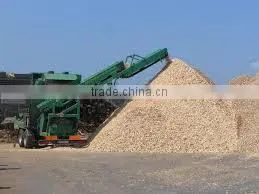 ACACIA, EUCALYPTUS WOOD CHIP FOR PAYPER AND PULP FROM VIET NAM thumbnail-1