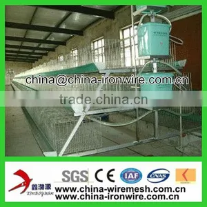 Poultry Cage/Chicken Layer Cage thumbnail-1