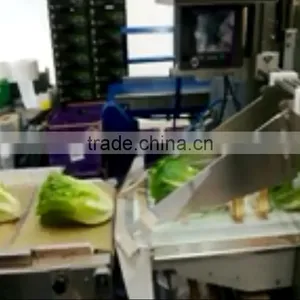 Automatic Turf Packing Machine thumbnail-5