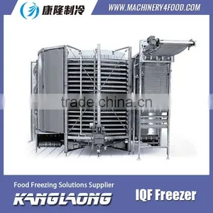 2000Kg/H Spiral IQF Freezer 1000 Made In China thumbnail-4