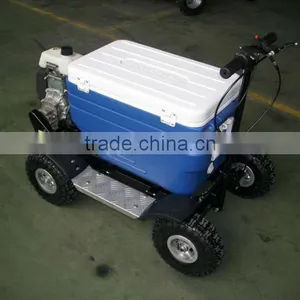 43cc EPA Approved Gasoline Refrigerator Scooter/cooler Box Scooter for Adult (TKS-S43) thumbnail-2