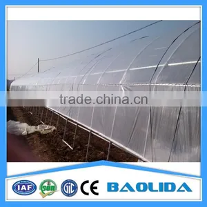 Agriculture Tunnel Plastic Commercial Greenhouse for Garden thumbnail-3