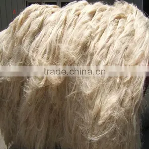 2016 HOT SELL !! Natural Raw Sisal Fiber / Sisal Fibre for Sale/sisal Fibre uv Grade thumbnail-1