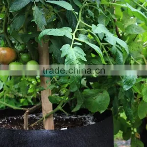 Non Woven Raised Vegetable Planter Smart Non Woven Plant Bag (1 Gal to 1200 Gal) thumbnail-6