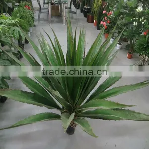 Wholesale PE Green Artificial Sisal Plants thumbnail-1