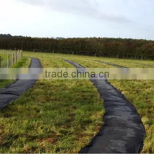 Greenhouse Garden Ground Cover Polypropylene Price thumbnail-4