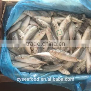 Wholesale Good Price Quality Well Caught Purse Seine Horse Mackerel thumbnail-1