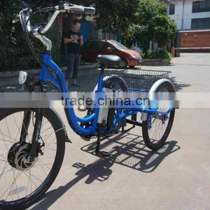 3 Wheel Electric Trike Electric Cargo Trike for Sale thumbnail-2