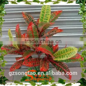 New Design Vertical Garden Croton Artificial Green Wall for Wall Decoration Artificial Grass Wall thumbnail-1