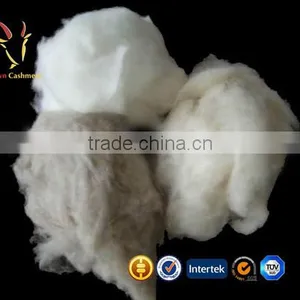 Mongolian Dehaired Cashmere Wool Top Fiber thumbnail-2