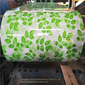 Flower Design PPGI Steel Coil For Interior Decoration thumbnail-1