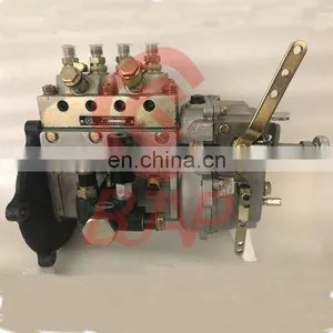 BJAP Injection Pump BH4BXD105YAY Genuine Pump BH4BXD105YAY thumbnail-2