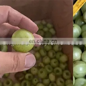 Peach Longan Cherry Sweet Date Olive Prune Destone Cherry Avocado Seed Removing Machine thumbnail-4