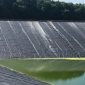 Geomembrane 0.50mm 0.75mm 1.0mm 1.5mm 2.0mm Fish Farm Pond Liner Dam Liner HDPE Geomembrane thumbnail-1