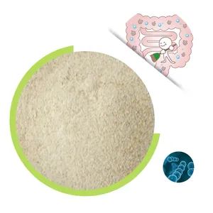 Manufacturer Supply Promote Digestion Enzyme Blend Digestive Bulk Mix Digestive Enzyme Powder For Gut Health thumbnail-1