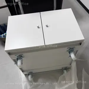 Lockable Printer Cabinet With Shelves | Steel Base for Printers | Office Storage Furniture for Commercial Offices thumbnail-5
