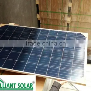 300W Solar Panels thumbnail-1
