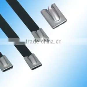 PVC Sprayed Stainless Steel Cable Tie (BZ-L Series) 4.6*300 thumbnail-2