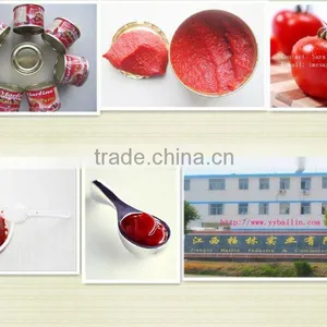 Hot Break Tomato Paste 18-20%2.2kg thumbnail-1