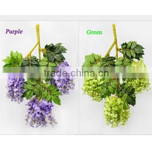 Chinese Native Mini Blue Chinese Wisteria Flowers thumbnail-3