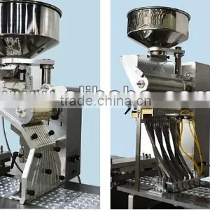 Automatic Blister Packaging Machine, Blister Packing Machine, DPP Blister Packing Machine thumbnail-6