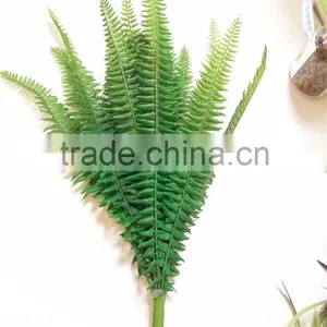 China Professional Supplier Artificial Plant Mini Succulent Fake Hydrophyte for Home Decoration thumbnail-1